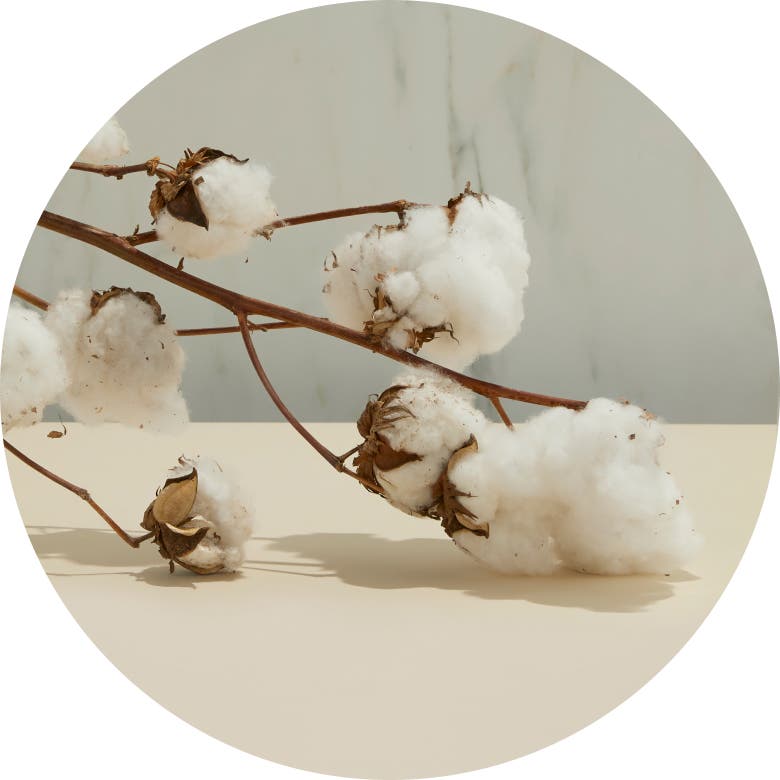 Organic Cotton Organic Cotton