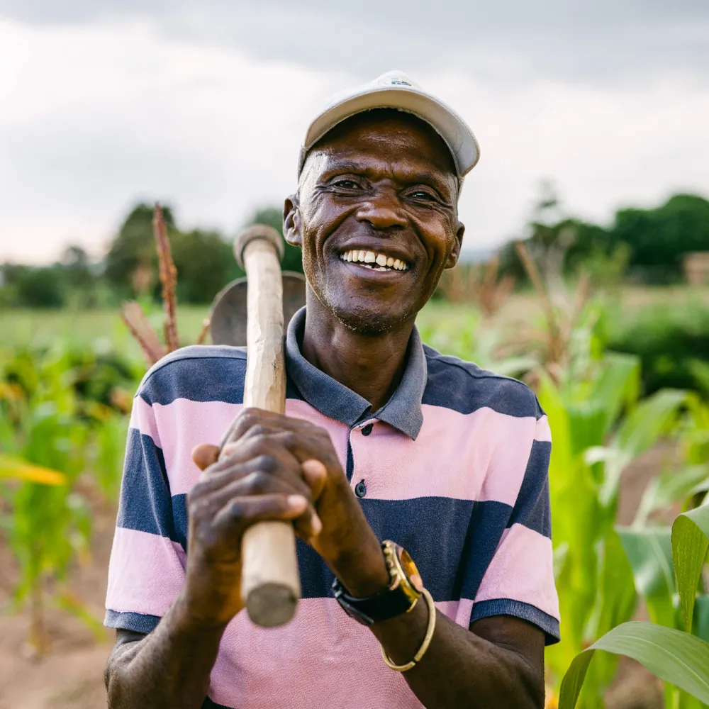 10 trees planted for every mattress