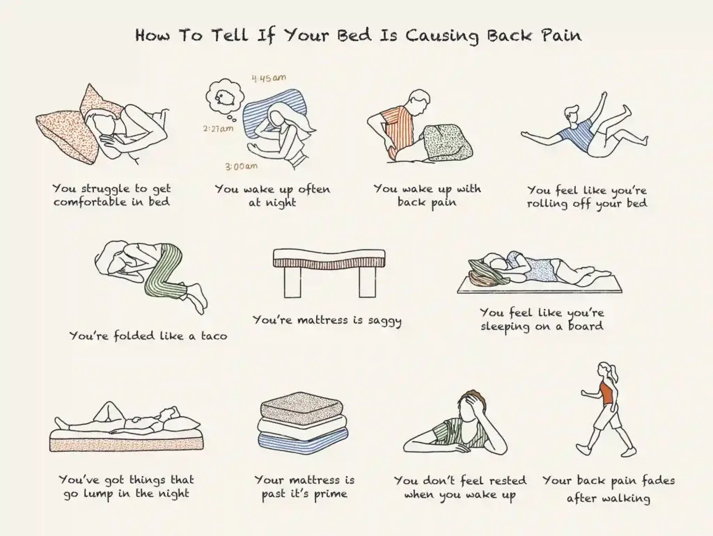 https://media.residenthome.com/contentful/dreamcloud/wp-migration/xxx-how-to-tell-if-your-bed-is-causing-back-pain-1024x770.webp?w=1024&h=770