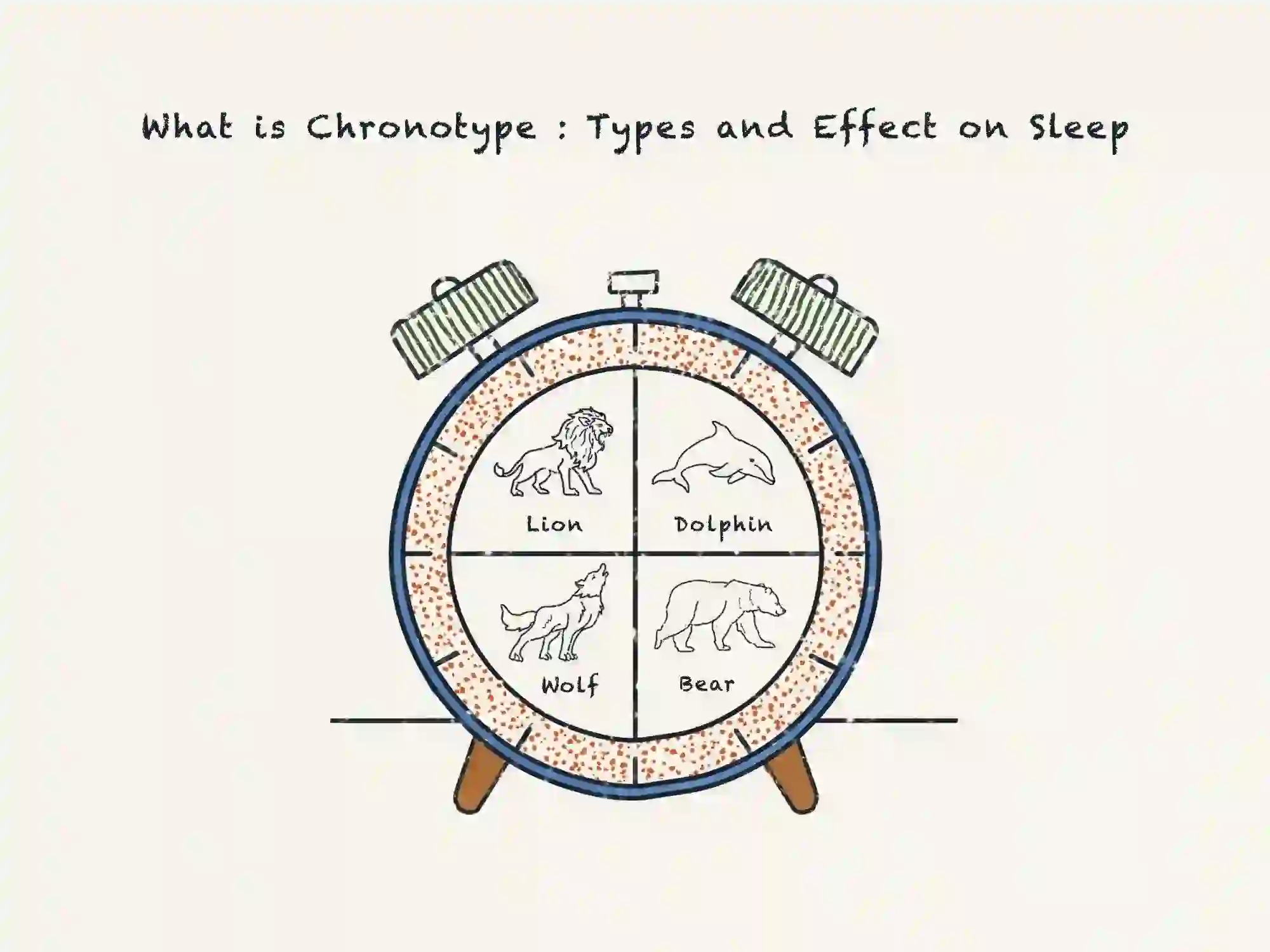 https://media.residenthome.com/contentful/dreamcloud/wp-migration/xxx-what-is-chronotype.webp?w=2000&h=1500