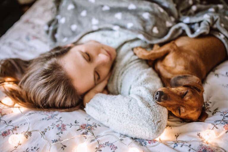 https://media.residenthome.com/contentful/wp-migration/Cuddler-Bug-sleeping-position-for-dog-768x512.jpg?w=768&h=512
