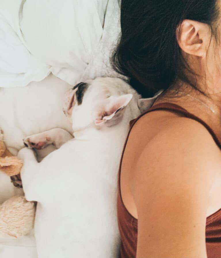 https://media.residenthome.com/contentful/wp-migration/back-to-back-sleeping-position-for-dog-768x895.jpg?w=768&h=895