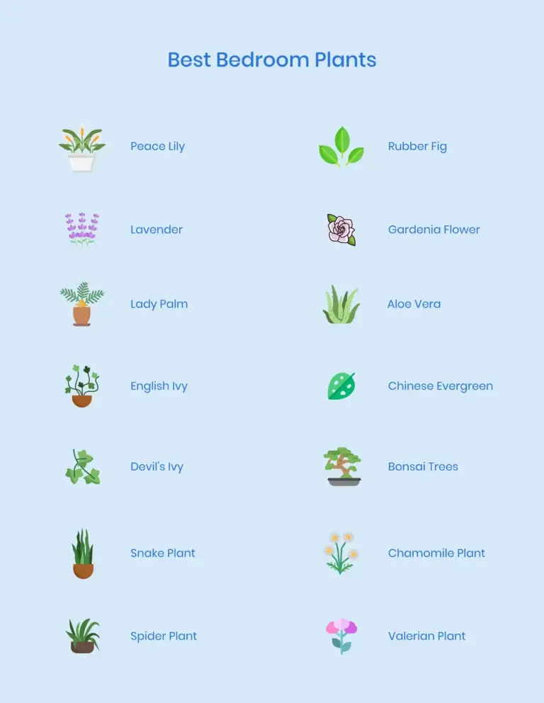 https://media.residenthome.com/contentful/wp-migration/xxx-best-bedroom-plants-illustration-768x992.webp?w=768&h=992