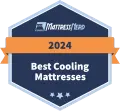 undefined Best Cooling Mattress Award