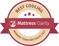undefined Best Memory Foam Mattress Award