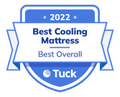 undefined Best Cooling Mattress Award