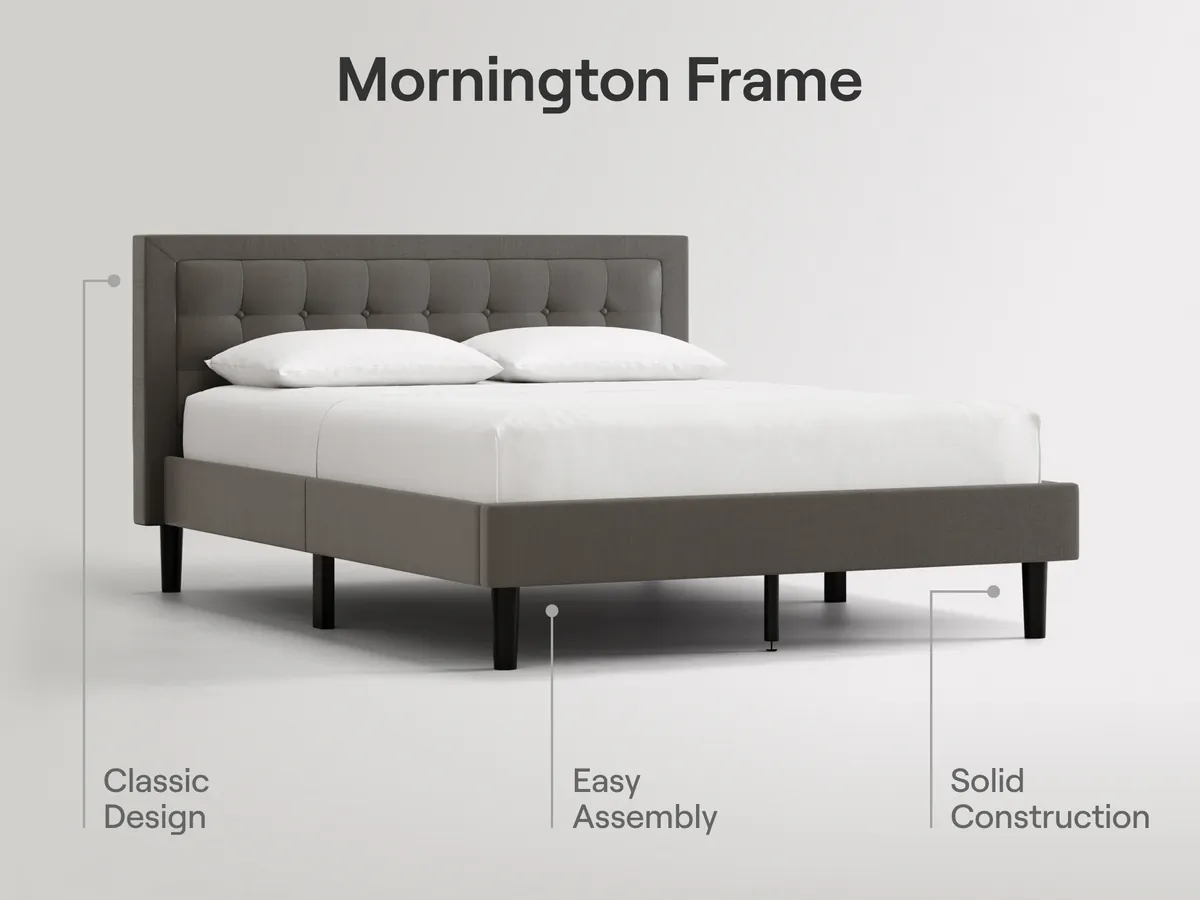 Nectar Mornington Bundle