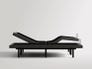DT_10_gallery_image.jpg Nectar Adjustable bundle