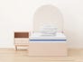 DT_0_gallery_image.jpg Kids Wistenpine Bundle